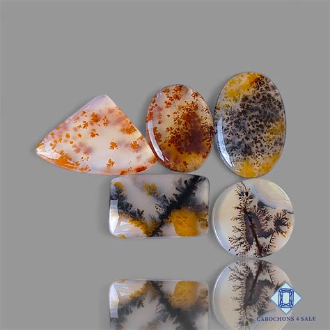Russian Dendritic Agate Cabochons Parcel | Unique Natural Stone Lots ...