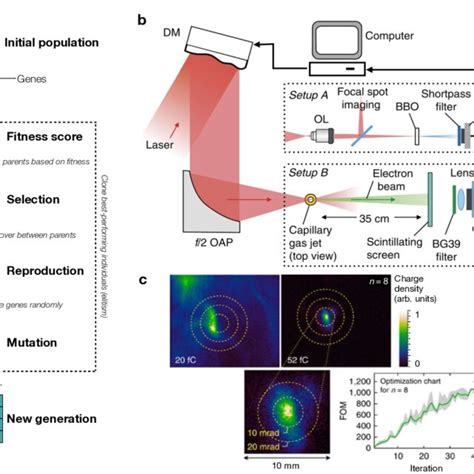Image result for Optimization Using Genetic Algorithm