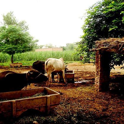 TALEEM Office Photos