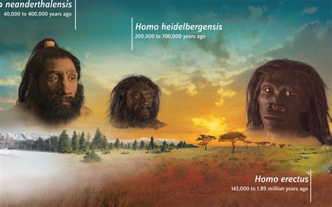 Human Origins Explained 的图像结果