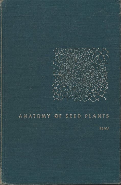 Buy Anatomy of Seed Plants Book Online at Low Prices in India | Anatomy ...