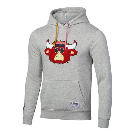 Men's Chicago Bulls Hoodies & Sweatshirts – Official Chicago Bulls Store
