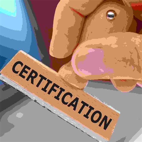 Project Management Certification Test 的图像结果