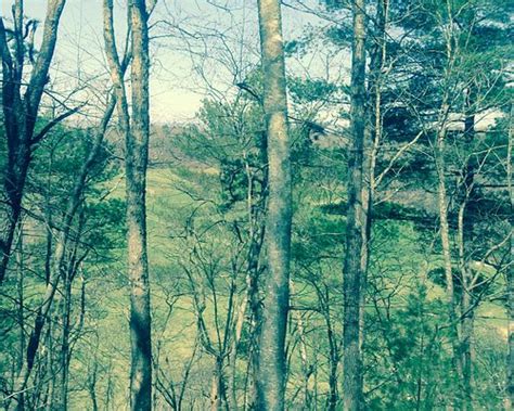 THE BEST Places to Visit in Ararat (2025) - Must-See Attractions