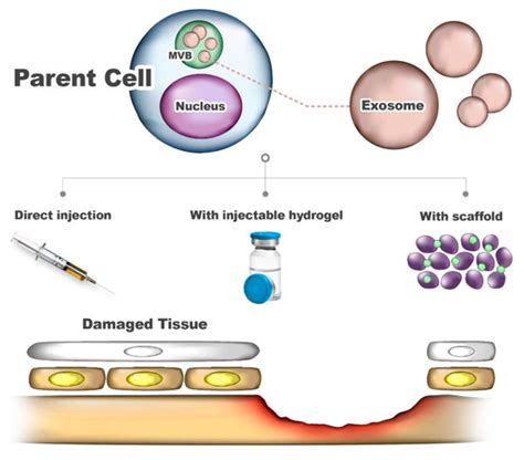 IJMS | February-2 2020 - Browse Articles
