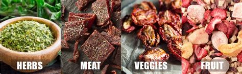 Buy Amulakh Electric Food Dehydrator Stackable Trays, Adjustable ...