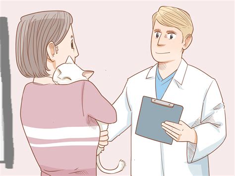 3 Ways to Diagnose and Treat Megacolon in Cats - wikiHow