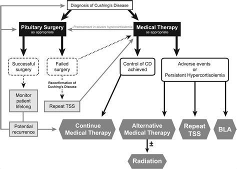 Medical Management of Persistent and Recurrent Cushing Disease - Neurosurgery Clinics