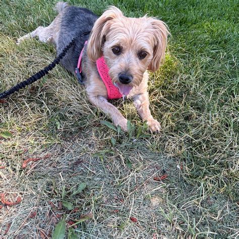 GOLD RANCH CASINO & RV RESORT (Verdi) - Campground Reviews & Photos ...