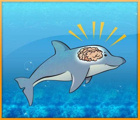 Dolphin Intelligence 的图像结果