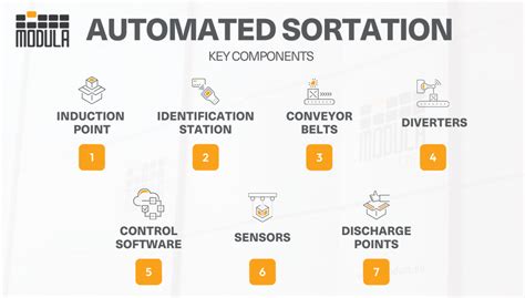 Image result for Case Sortation System