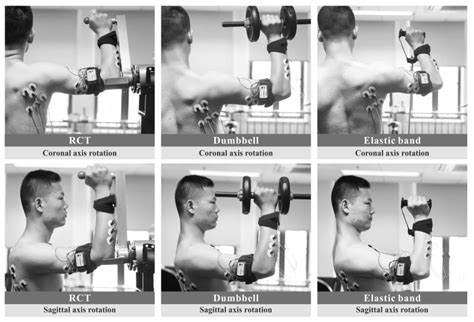 Rotator Cuff Exercises With Dumbbells
