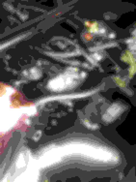 ロイヤルドルトン トリオ ティーカップ ケーキ皿 デザートプレート バラ ROYAL DOULTON 花柄 ローズ ヴィンテージ イギリス ...