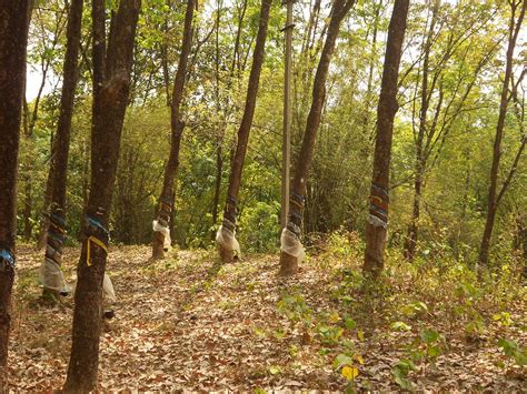 TABERNACLE HOMESTAY (Thodupuzha) - Hotel Reviews & Photos - Tripadvisor