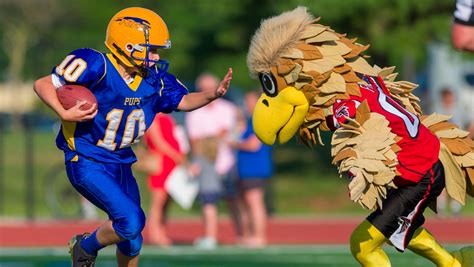 Atlanta Falcons Mascot