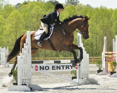 2010 Chattahoochee Hills Horse Trials - USEA, United States Eventing ...
