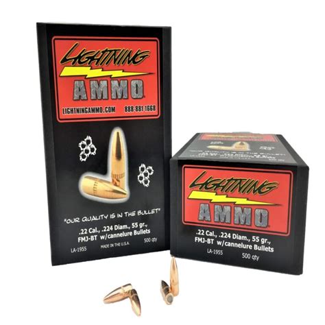 What Is a Full Metal Jacket Bullet 的图像结果