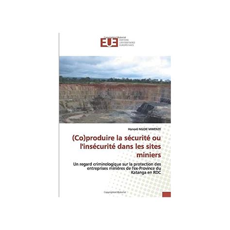 Buy (Co)produire la sécurité ou l'insécurité dans les sites miniers: Un ...