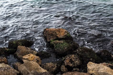 Blue Sea 的图像结果