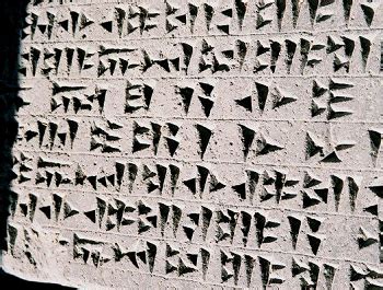 Human First Language 的图像结果