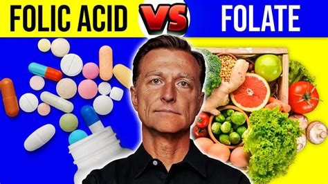 Image result for Folate Folic Acid