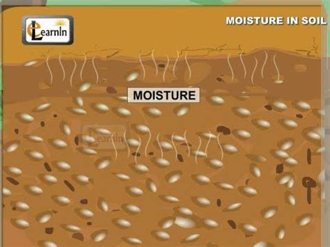 Moisture in Soil - Soil - CBSE Class 7 Science Video Lecture