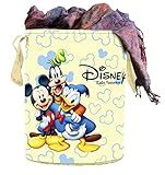 Top 10 Laundry Basket Sizes of 2023 - Best Reviews Guide