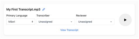 Image result for Transcript File