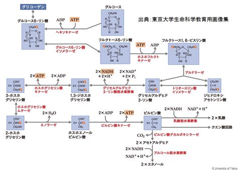 Image result for Secure Hash Algorithm Hint Image