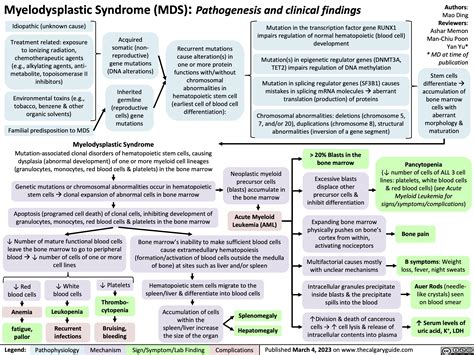 Symptoms For Mds
