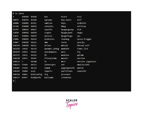 Image result for Linux Proc