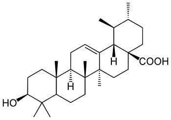 Ursolic Acid—A Pentacyclic Triterpenoid with a Wide Spectrum of ...