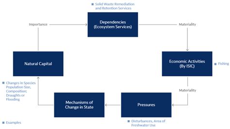 Systematically Identifying Potential Biodiversity Risks - Goldman Sachs ...