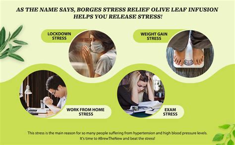 Borges Stress Relief Olive Leaf Infusion Tea- Mint -10 Bags | 2X ...