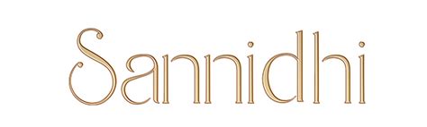SANNIDHI 4 Sets Adjustable Waist Buckle, Jeans Tightening Clips ...