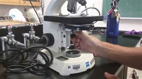 Image result for Microscope Alignment