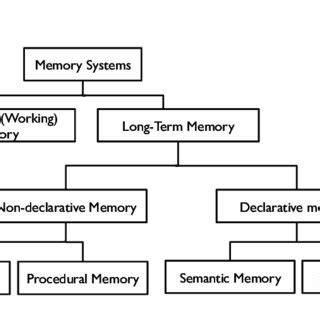 Image result for Human Memory and Structured Objects