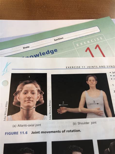 Joint movements of rotation Diagram | Quizlet