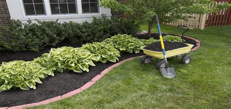Image result for How to Color Mulch