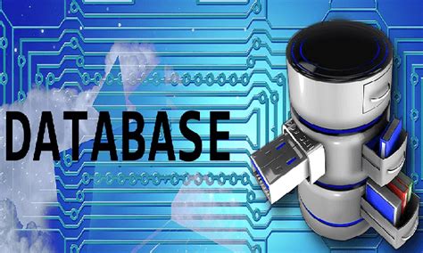 Image result for Database Coding