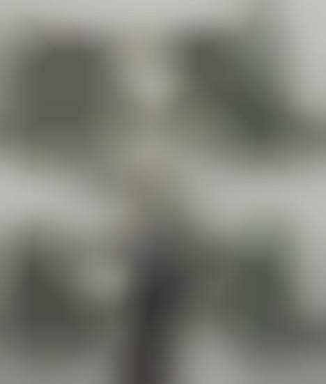 Life-Saving Geckos : TBCP-11