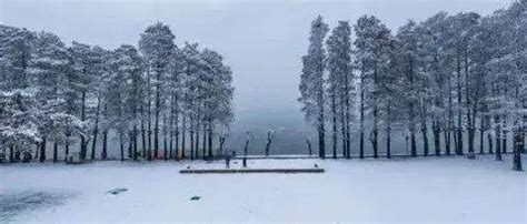 陕西：受雨雪大雾天气影响 部分国省干道临时管制