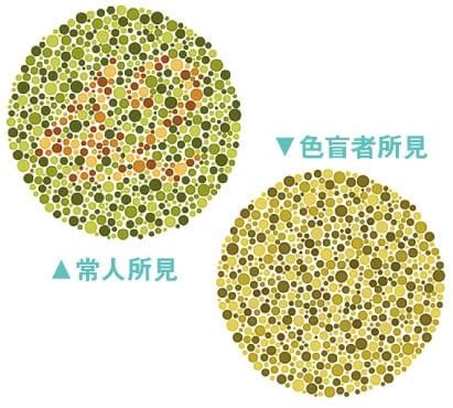 4组图片告诉你：色盲眼中的世界是什么样？_澎湃号·湃客_澎湃新闻-The Paper