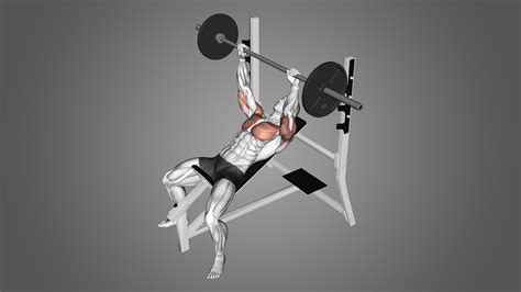 Incline Barbell Bench Press: Benefits, Muscles Worked, and More ...
