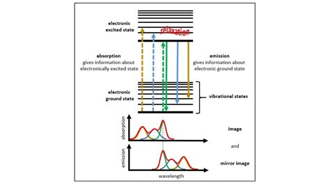 Image result for How Does Fluorescence Spectroscopy Work