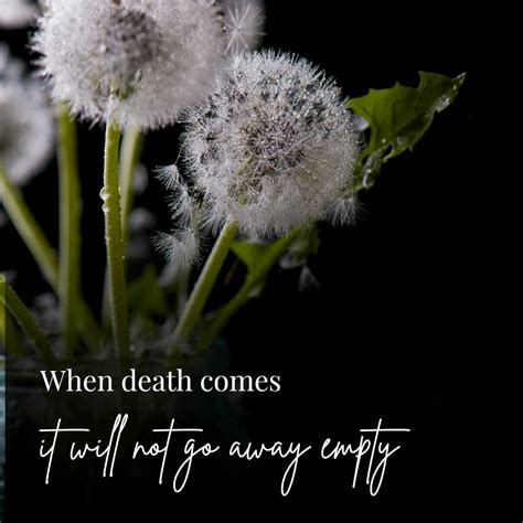 Can Plants Live Forever Or Does Death Come For Nature