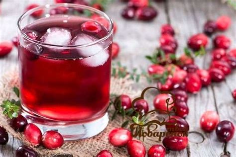 Клюквенный и брусничный морс при цистите - лучшие рецепты