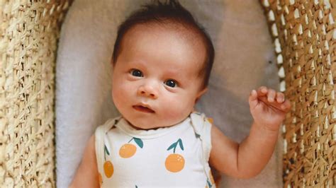 6 reasons why the king cobra is more than just a deadly snake