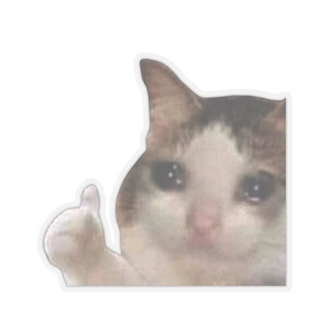 Crying Cat Thumbs up Meme Laptop Waterbottle MacBook Pro Guitar Case ...