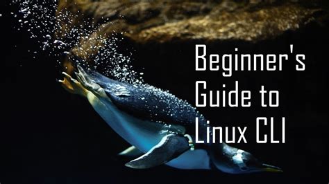 Image result for Linux Command Line Interface